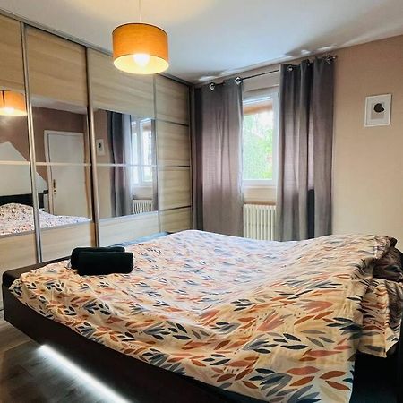 Appartement Proche Centre Ville Avec Parking Gratuit Анси Экстерьер фото