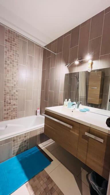 Appartement Proche Centre Ville Avec Parking Gratuit Анси Экстерьер фото