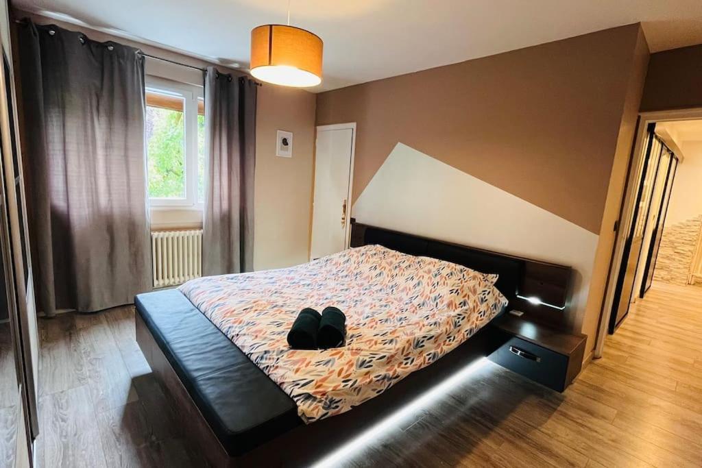 Appartement Proche Centre Ville Avec Parking Gratuit Анси Экстерьер фото