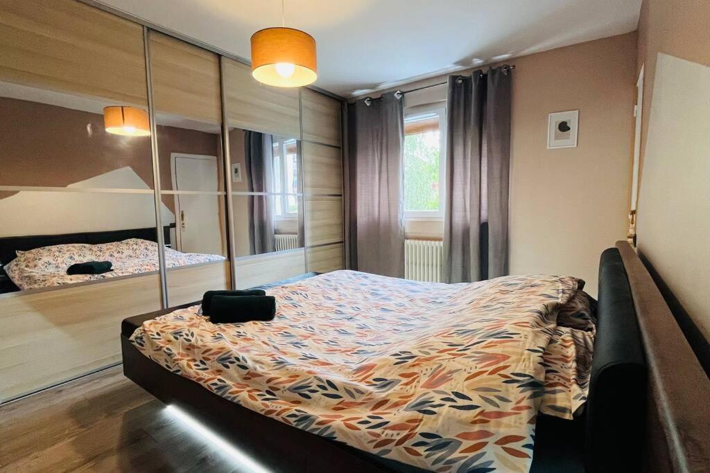 Appartement Proche Centre Ville Avec Parking Gratuit Анси Экстерьер фото